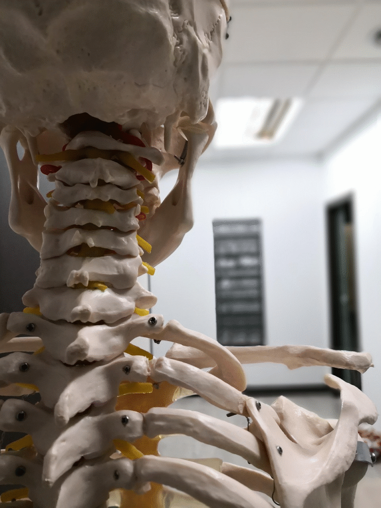Nefridos klinikos kontaktai