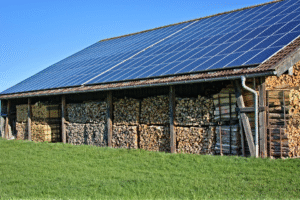 Kaip atsinaujinanti energetika keičia Lietuvos žemės ūkio veidą: saulės modulių potencialas